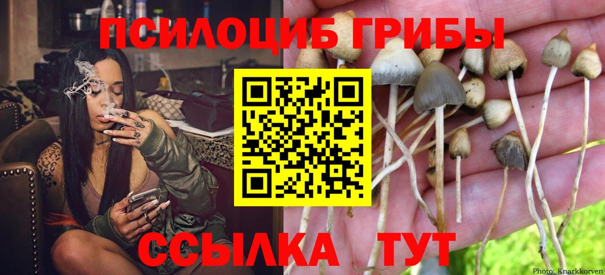 Псилоцибиновые грибы мухоморы Аксай